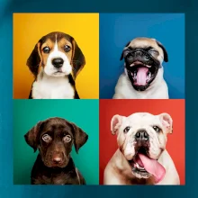 Psi šteňatá koláž