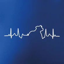 Stafordšírsky bulteriér ‎ EKG