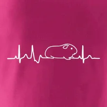 EKG morča EKG morča
