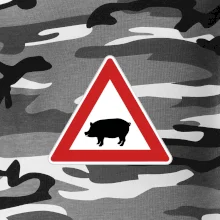 Dopravná značka - Pozor prasa domáca
