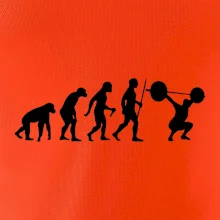 Evolution fitness