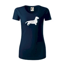 Jazvečík - Dachshund