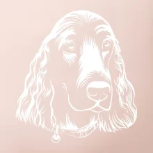 Kokeršpaniel - hlava kreslená