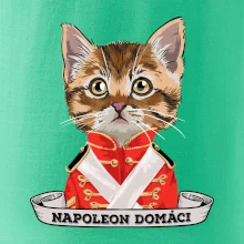 Napoleon domáci mačka