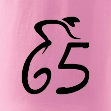 Cyklista oslavuje šesťdesiatpäťku (65)