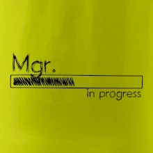 In progress titul Mgr. magister / magistra