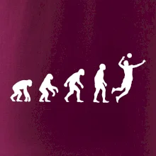 Evolúcia volejbal muž