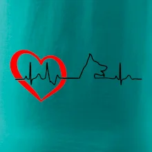 Nemecký ovčiak ekg