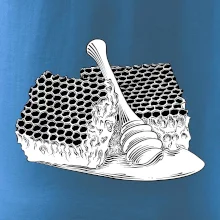 Plást s medom Plást s medom