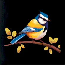 Sýkorka modrinka kreslená