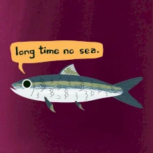 Long time no sea