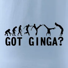 Capoeira - Got Ginga
