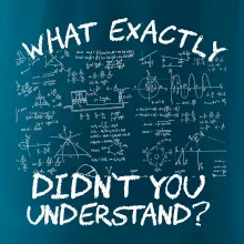 What exactly didn't you understand - physics