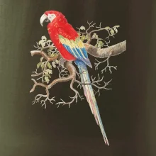 Papagáj  na listnatom strome