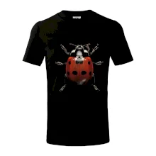 Lienka za zhora čierna fotka