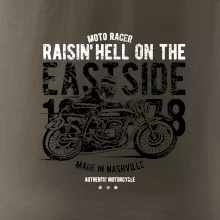 Raisin Hell Moto Racer