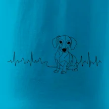 EKG krivka jazvečík