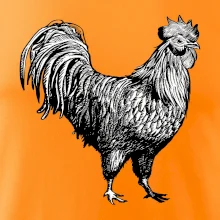 Kohút kreslený čiernobiely