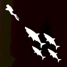 Potápač žraloky Potápač žraloky