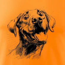 Čiernobiela karikatúra Labrador svetlý