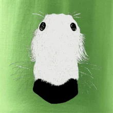 Barzoj čumák (Moňas)