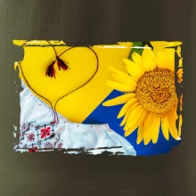 Ukrajina slnečnice a kroj Ukrajina slnečnice a kroj