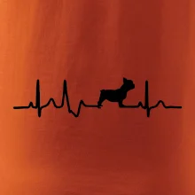 EKG Francouzský buldoček z boku