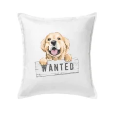 Zlatý retriever - šteniatko wanted