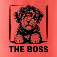 Lagotto romagnolo the boss