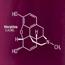 Molekulárna štruktúra Morfín