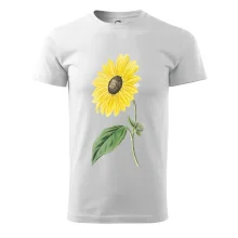 Slnečnica otočená