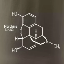Molekulárna štruktúra Morfín