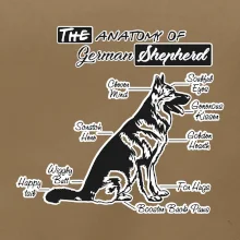 Nemecký ovčiak - Anatómia