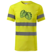 Monstera - dva listy Monstera - dva listy