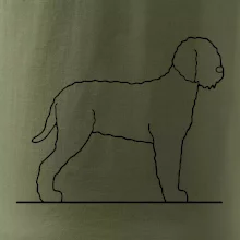 Lagotto romagnolo stojaci