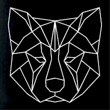 Akita Inu - Geometria Akita Inu - Geometria