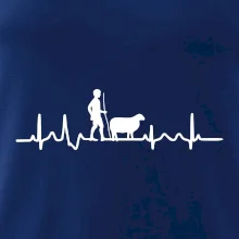Ekg pastier oviec
