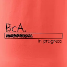 In progress titul BcA. bakalár / bakalárka umenia