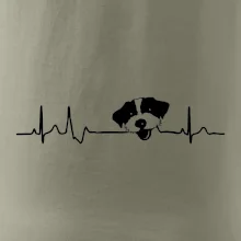 Jack Russell Teriér hrubosrstý Ekg