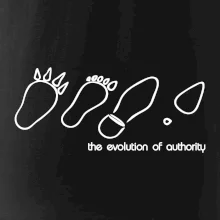 Evolution of authority