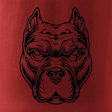 Americký stafordšírsky teriér hlava