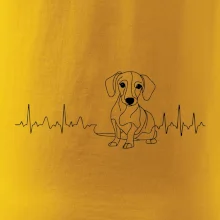 EKG krivka jazvečík