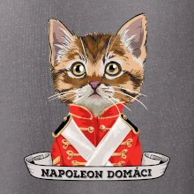 Napoleon domáci mačka