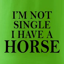 I have a horse