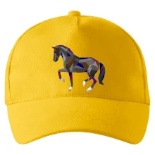 Kôň geometria farebný