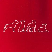 Americký stafordšírsky teriér v rôznych pozíciách