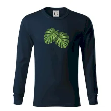 Monstera - dva listy Monstera - dva listy