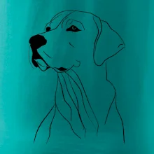 Labrador čierna kresba