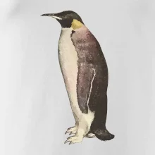 Tučniak kreslený vodovými farbami