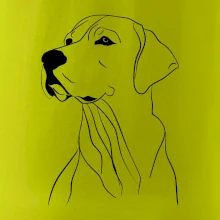 Labrador čierna kresba